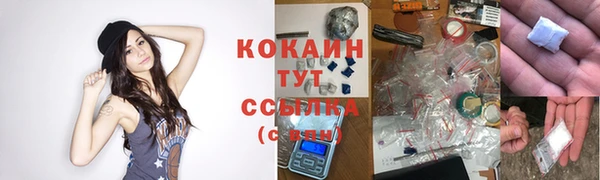 СК Арсеньев
