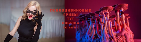 СК Арсеньев