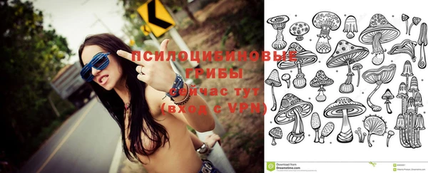 прущие крисы Аркадак