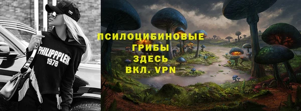 прущие крисы Аркадак