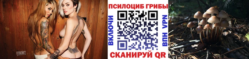 сколько стоит  Чайковский  Галлюциногенные грибы мухоморы 